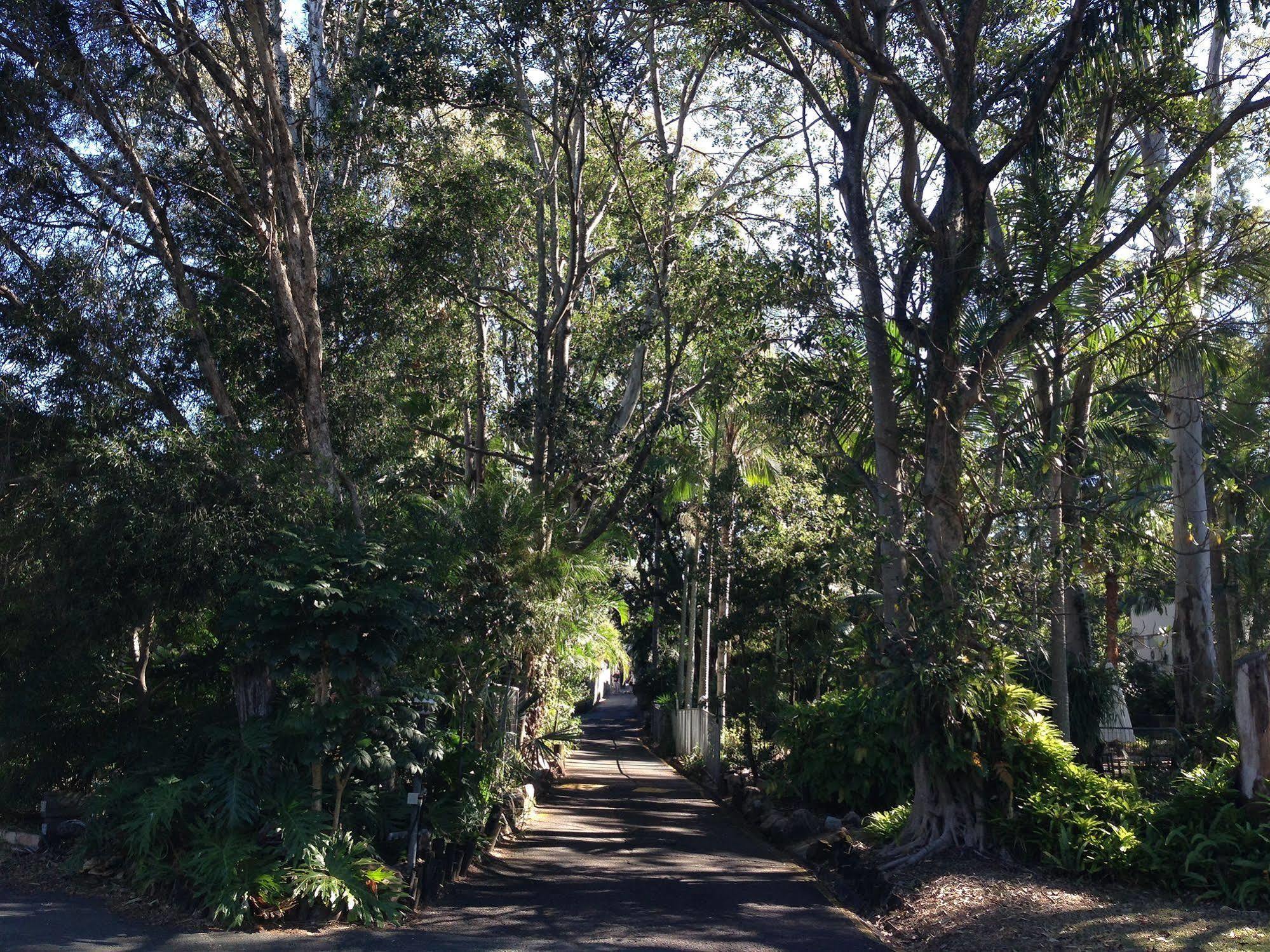 Forest Lodge Apartments Brisbane Zewnętrze zdjęcie
