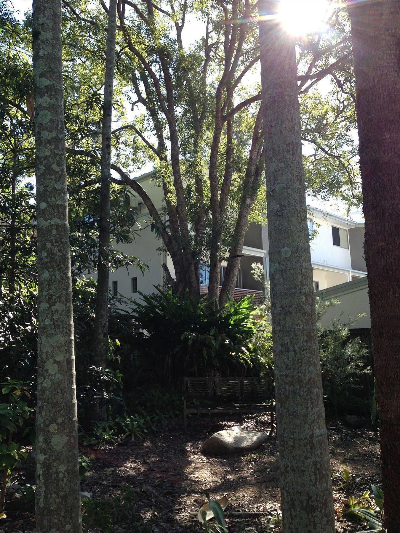 Forest Lodge Apartments Brisbane Zewnętrze zdjęcie